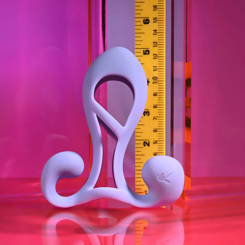 Playboy Pleasure FANTASY CAGE
