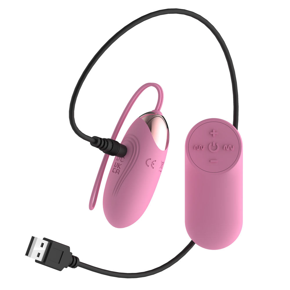 Passion Play Silicone Vibrating Egg - Small - Pink USB Rechargeable Vibrating Egg with Wireless Remote