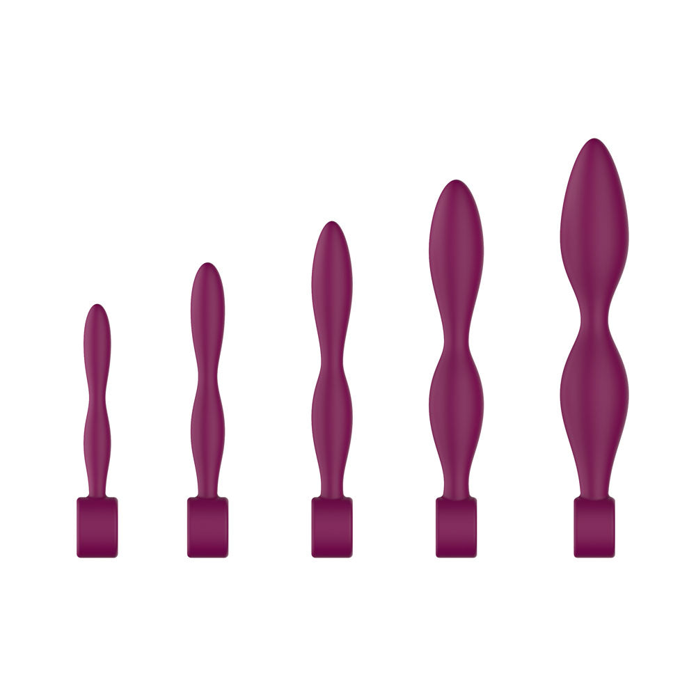 Passion Play Silicone Dilator Set - Purple Dilator Kit - Set of 5 Sizes