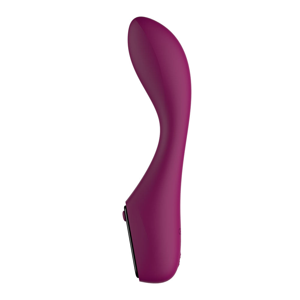 Passion Play G-spot vibrator with LED sc -