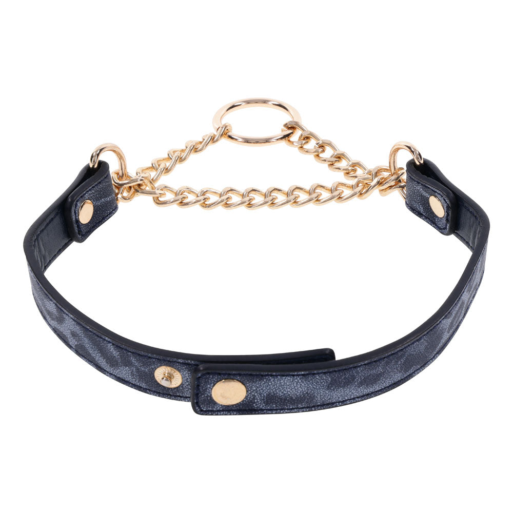 Sex & Mischief Cougar Day Collar
