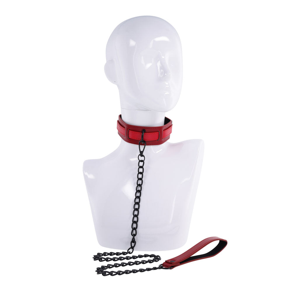 S&M Exs & Ohs Collar and Leash