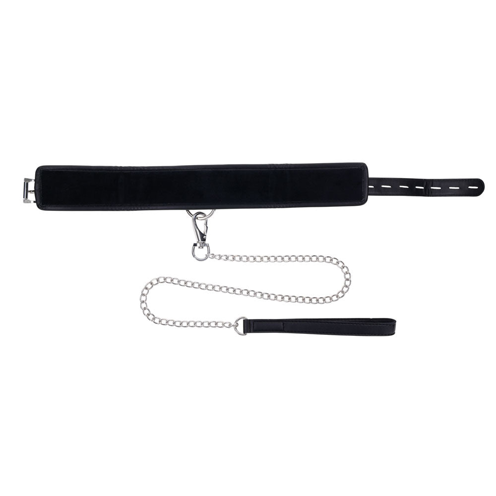 EDGE Collar & Leash